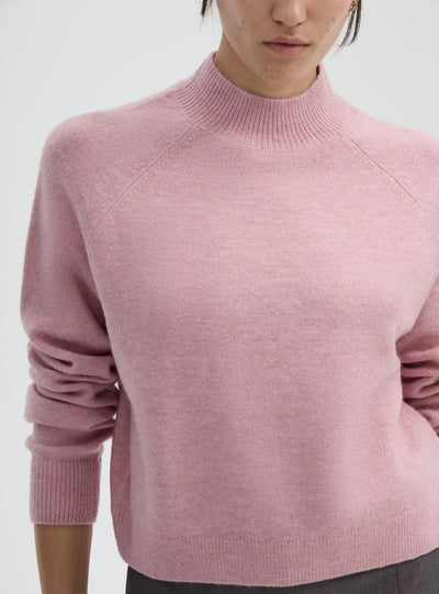 Uni-Farbiger Rollkragenpullover