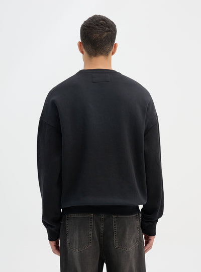Boxy sweatshirt with print and embroidery